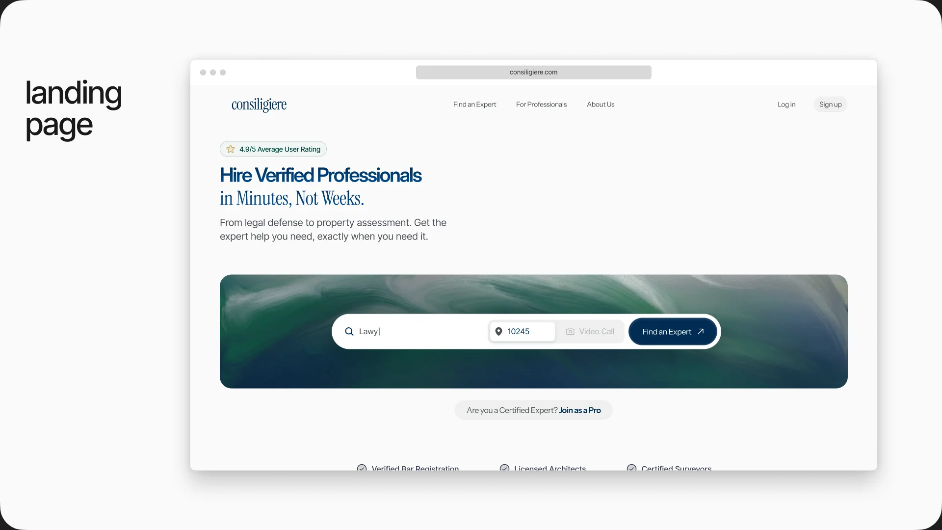 The final landing page hero: Hire Verified Professionals in Minutes, Not Weeks.